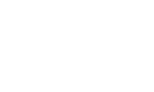 stalive9_logo